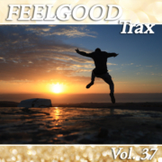 Various Artists - Feelgood Trax Vol 37