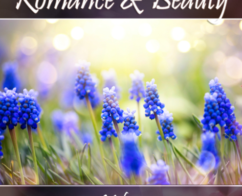 Romance & Beauty, Vol. 5 - Cover artwork