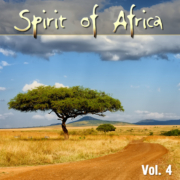 Various Artists - Spirit of Africa Vol 4