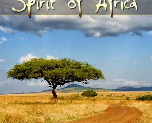 Various Artists - Spirit of Africa Vol 4