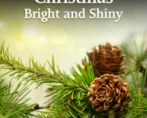 Various Artists - Christmas Bright And Shiny