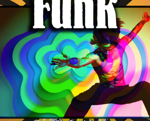 Funk Vol 10