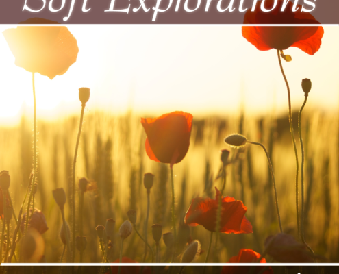 Soft Explorations, Vol. 7