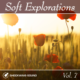 Soft Explorations, Vol. 7