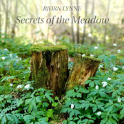 Bjørn Lynne - Secrets of the Meadow