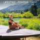 Shockwave-Sound & Global Sound System - Lifestyle - Positive - Easy, Vol. 2