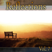 Various Artists - Reflections Vol 7