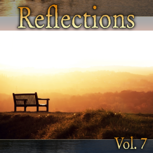 Various Artists - Reflections Vol 7